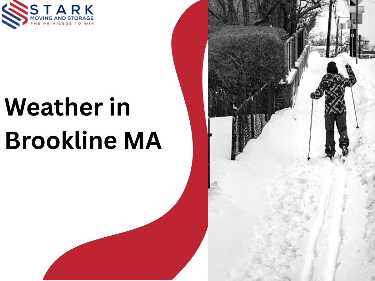 Weather in Brookline, MA | Guide for New Residents