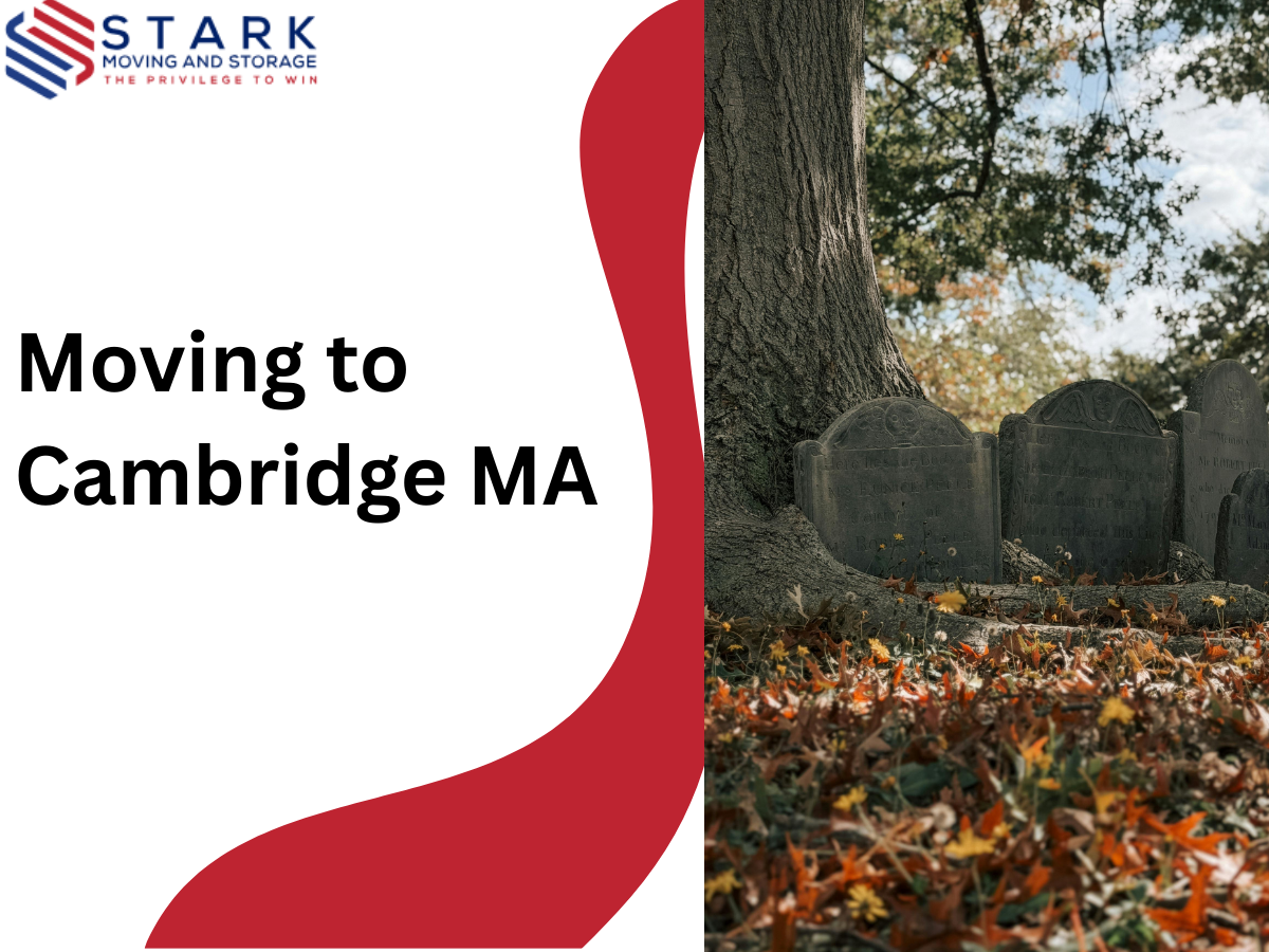 Moving to Cambridge, MA