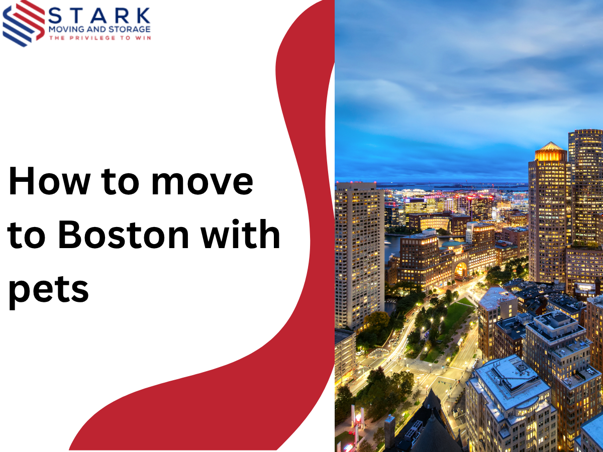 How to Move to Boston with Pets