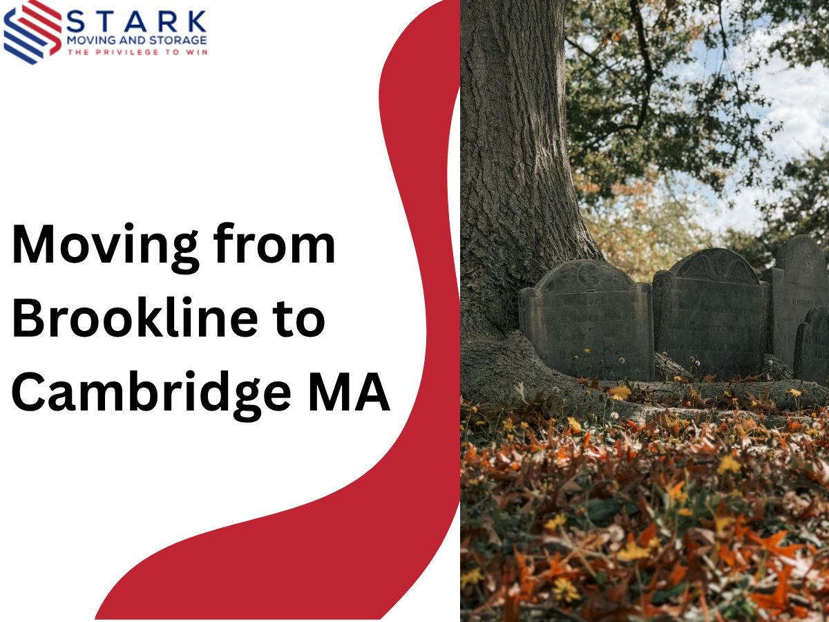 Moving From Brookline to Cambridge, MA