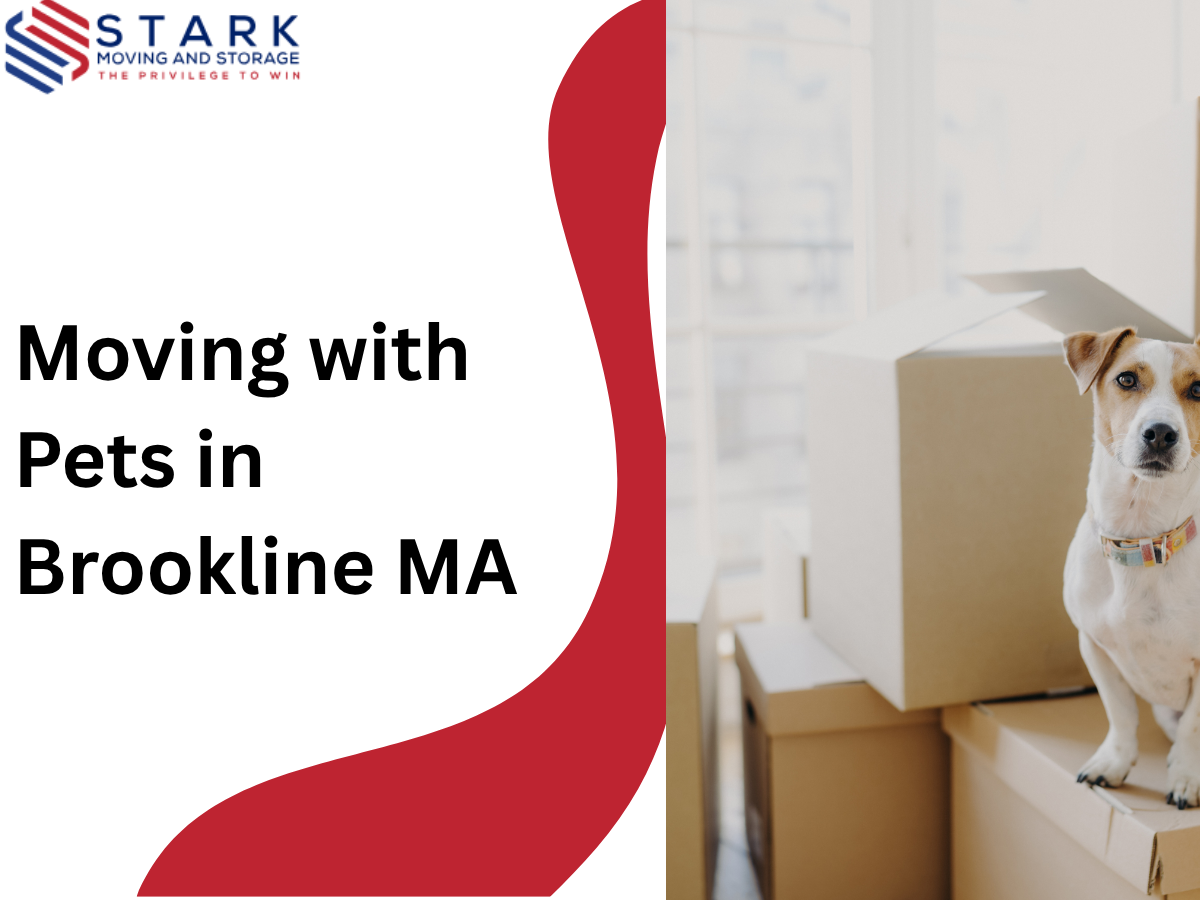 Moving with Pets in Brookline, MA