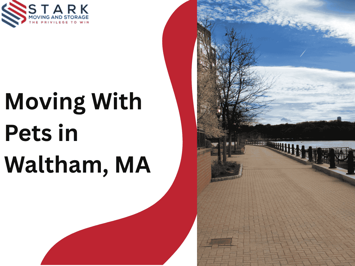 Moving with Pets in Waltham, MA
