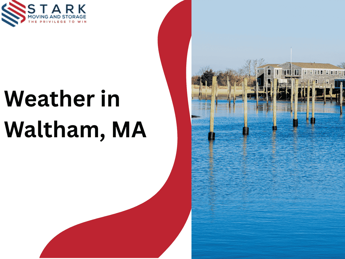 Weather in Waltham, MA