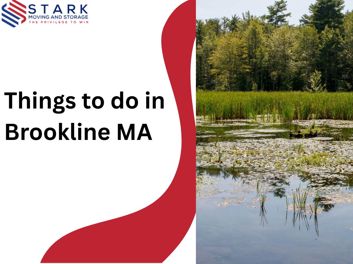 Things to Do in Brookline MA