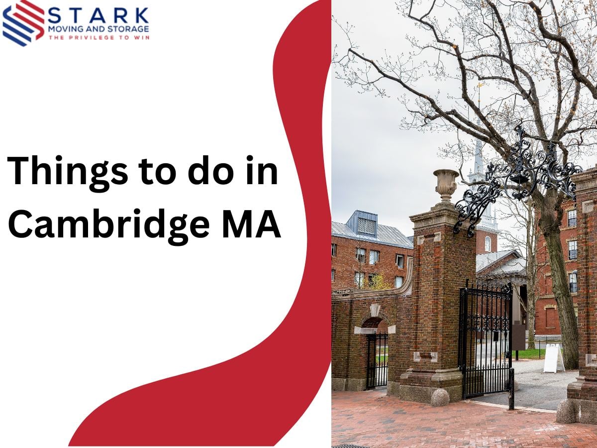Things to Do in Cambridge: Attractions, Events & Activities